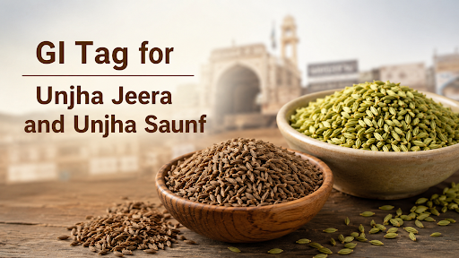 GI TAGS FOR UNJHA JEERA AND UNJHA SAUNF